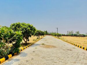 WhatsApp-Image-2025-05-23-at-16.30.54-scaled-1