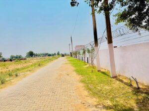 WhatsApp-Image-2025-05-23-at-16.30.56-scaled-2-2048x1536