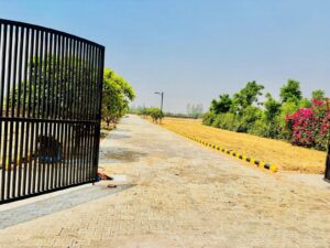 WhatsApp-Image-2025-05-23-at-16.30.58-scaled-2-2048x1536