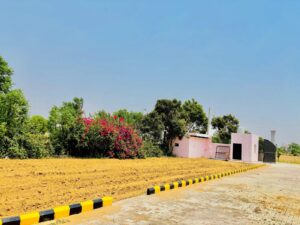 WhatsApp-Image-2025-05-23-at-16.31.00-1-scaled-2