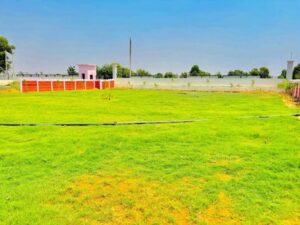 WhatsApp-Image-2025-05-23-at-17.52.52-1-1-768x576