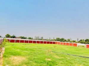 WhatsApp-Image-2025-05-23-at-17.52.53-1-768x576